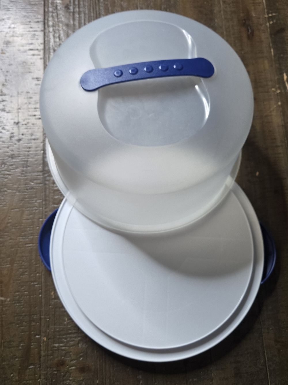 Sterilite Round Cake Carrier with Locking Handles & Clear Dome Lid – White/Blue